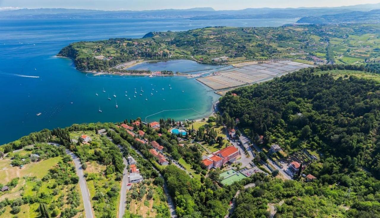 Dino Studio And Room Apartments Portorož Exteriér fotografie